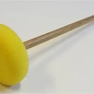 Svamp på pinne