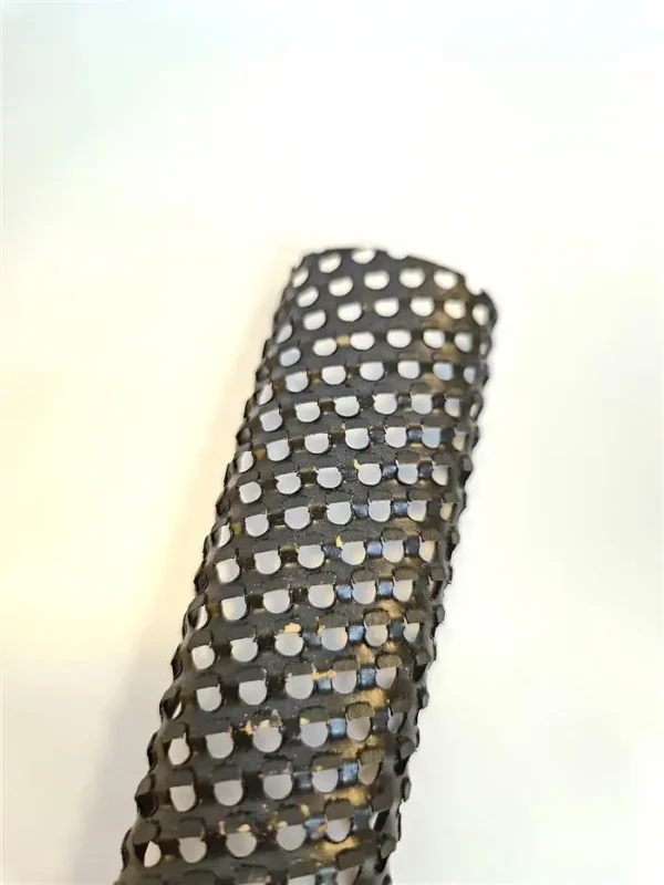 Rasp - Bild 3